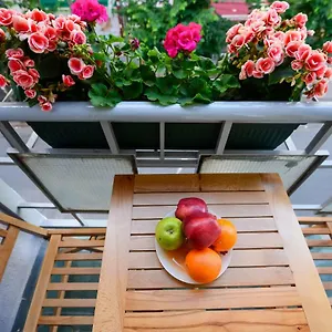https://hotel-niku.albaniahotels.org